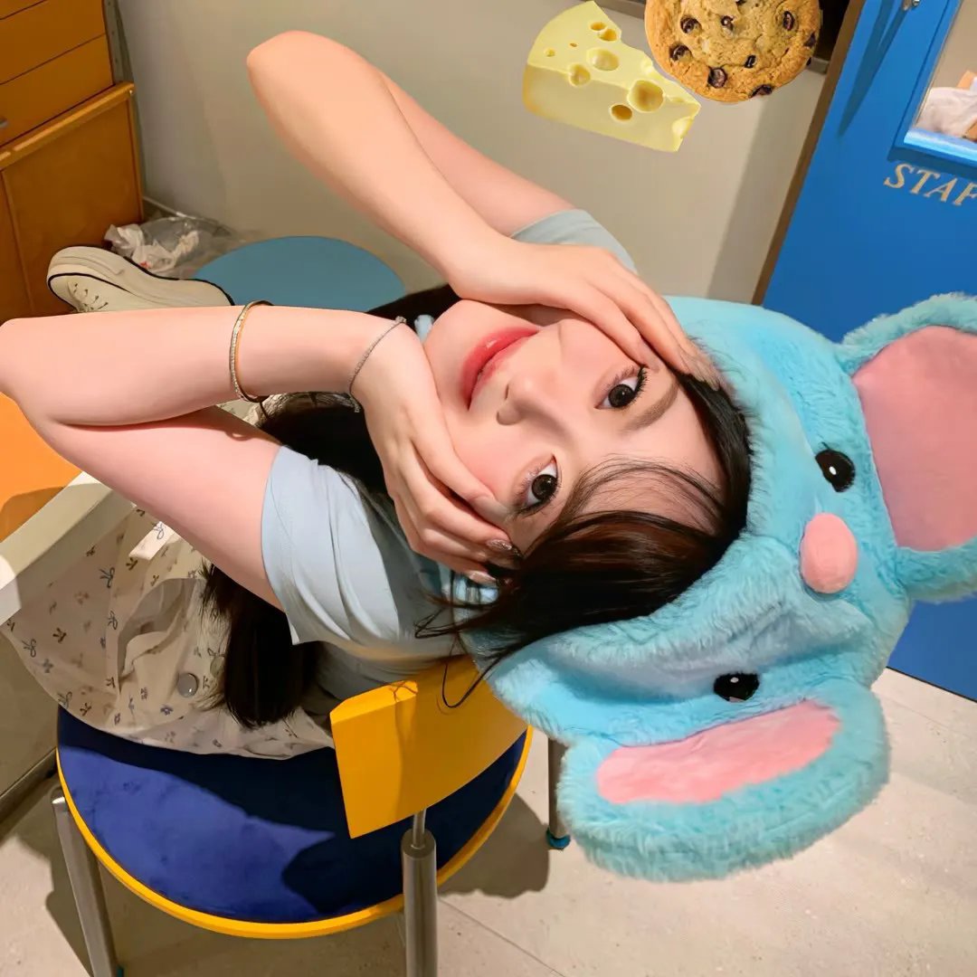 遇见波莉
